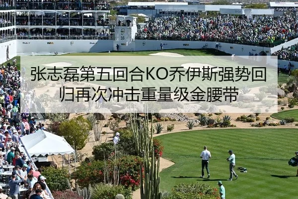 张志磊第五回合KO乔伊斯强势回归再次冲击重量级金腰带
